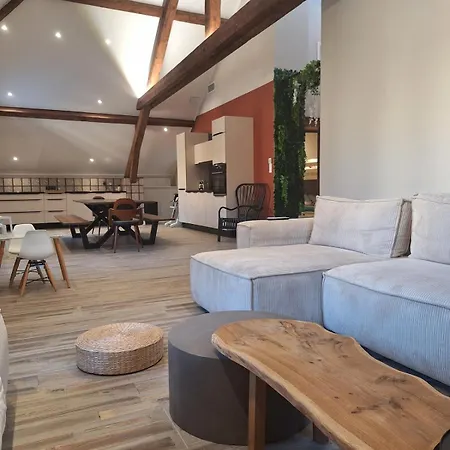 Apartmán Le Loft Du Centre